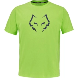 Мужская теннисная футболка Babolat Cotton J.Lebron - green flash