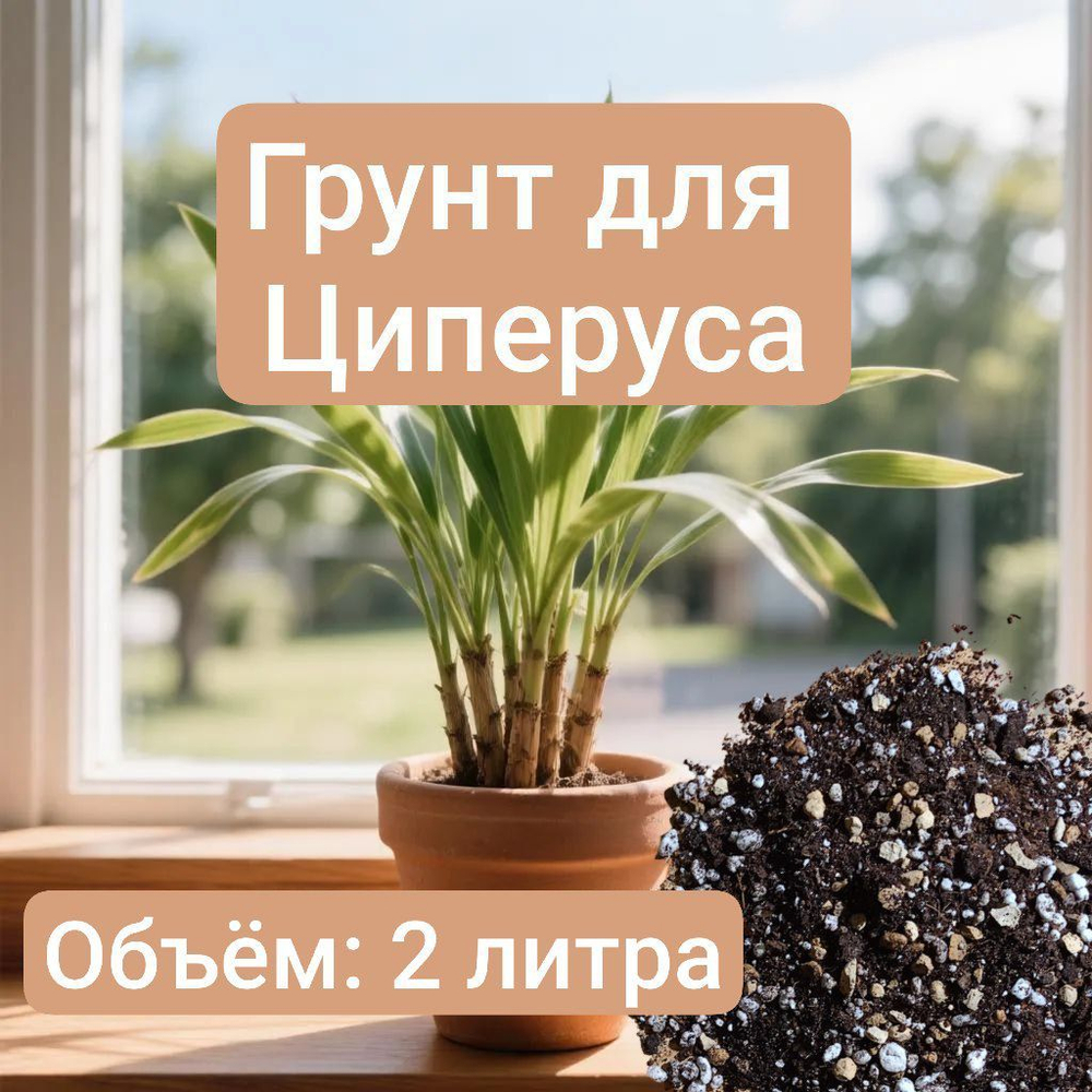 Авторский грунт Циперуса 2 литра