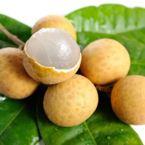 Лонган Глаз дракона Dimocarpus Longan  семена 2 шт