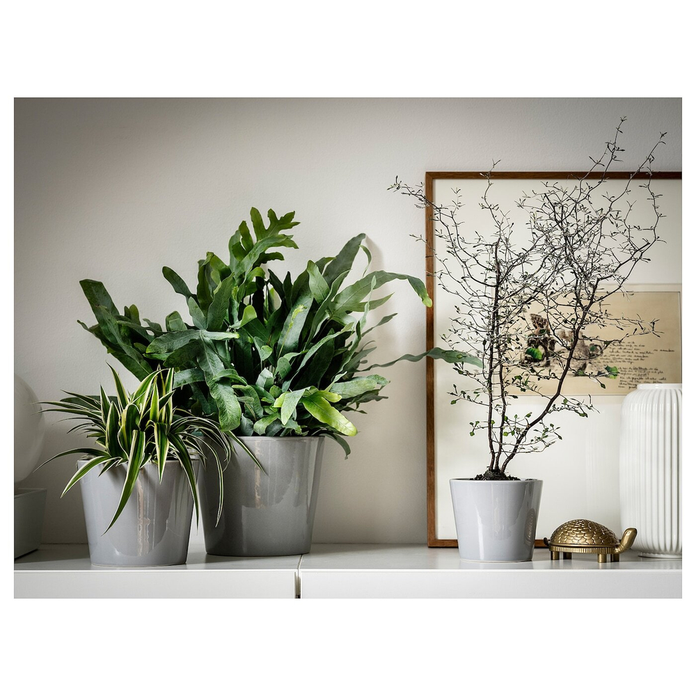 IKEA SKOGSVINBÄR  (ИКЕА СКОГСВИНБÄР)  -  Крышка для цветочного горшка, серая, 12 см