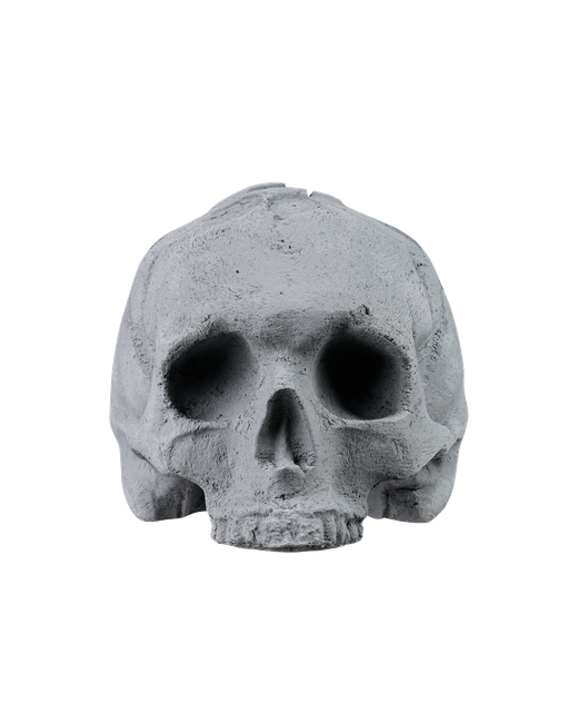 SCULL grey