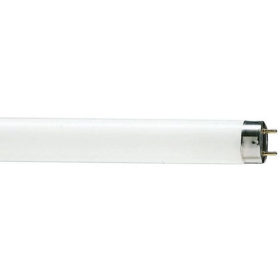 Лампа люминесцентная Osram L 30W/765 T8 30W 6500K G13 28187