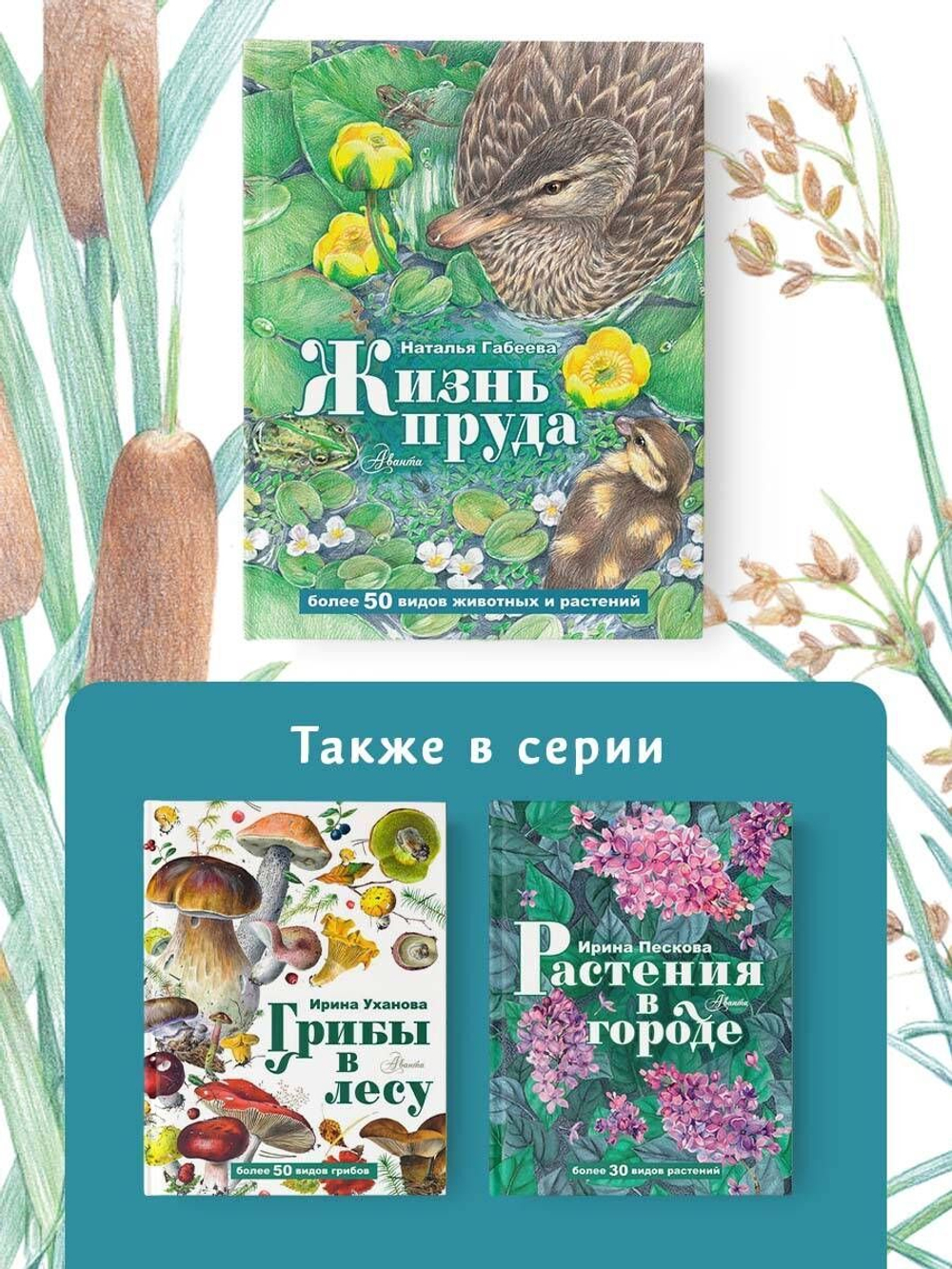 Жизнь пруда