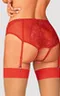 Dagmarie garter panties
