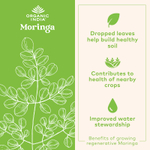 Organic India, моринга, 180 вегетарианских капсул (350 мг в 1 капсуле)