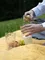 Плед для пикника и отдыха на пляже smart picnic, горчичный