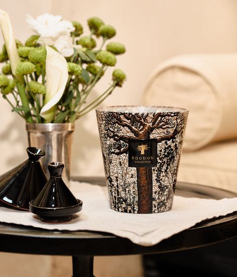 Morondo, свеча MAX 35 Sacred Trees collection, Baobab Collection