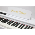 Pierre Cesar M430E