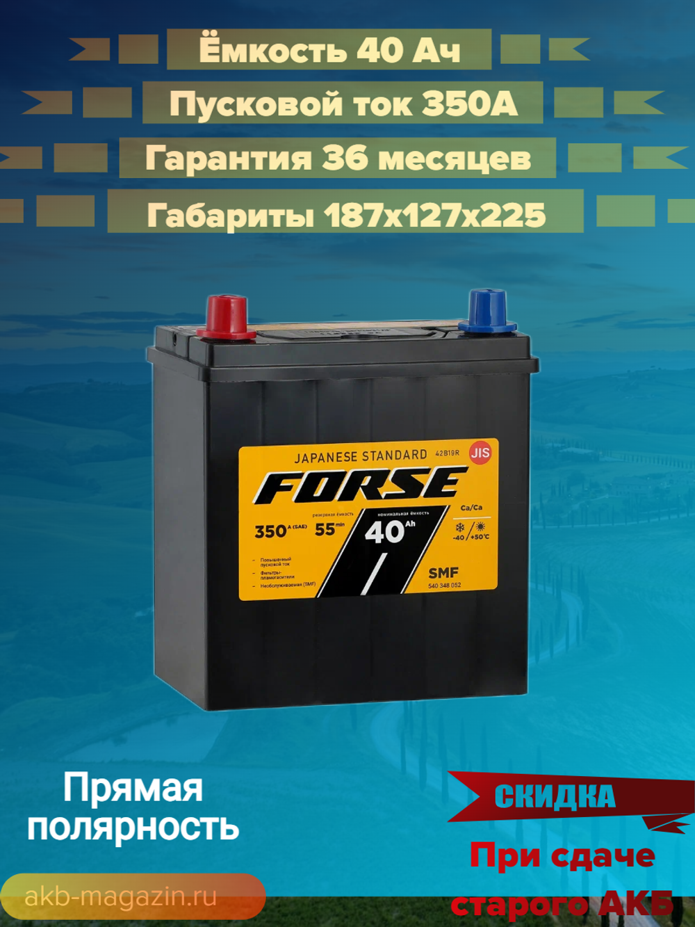 FORSE Asia 6СТ- 40 VL (1) В19