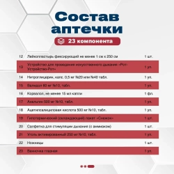 Аптечка  для  перевозки опасных грузов ФЭСТ сумка м.1186