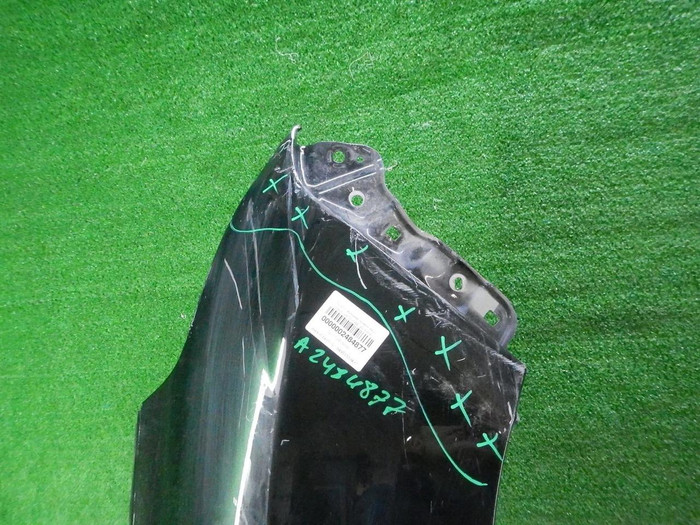 DSCN8387.JPG