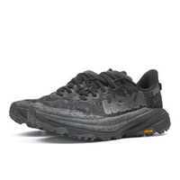 Кроссовки женские Hoka Speedgoat 6 GTX WIDE