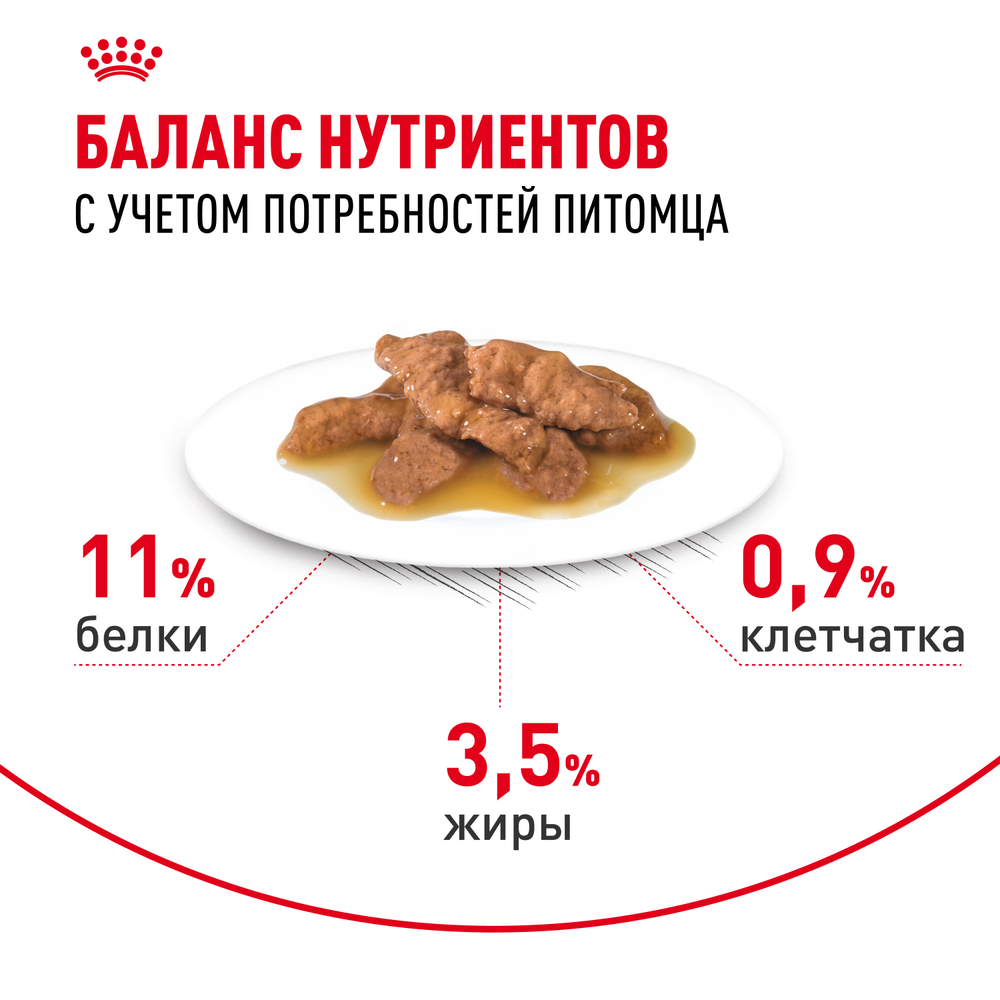 Royal Canin Indoor Sterilized Индор стерилайзд Корм влажный для стерилизованных кошек живущих в помещении соус 85г