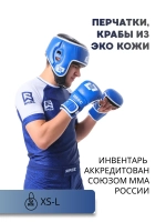 Перчатки для ММА Rage Союз ММА России экокожа синий