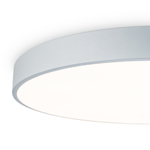 Потолочный светодиодный светильник Freya Sprida FR6129CL-L80GR