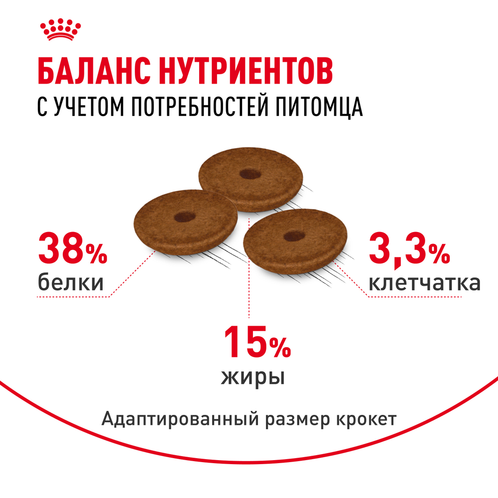 Royal Canin DIGESTIVE CARE (ДАЙДЖЕСТИВ КЭА) Корм сухой полнорационный для взрослых кошек для поддержания здоровья пищеварительной системы - 10 кг