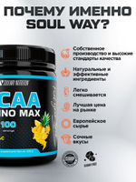 BCAA(БЦАА) с ананасом 500 грамм