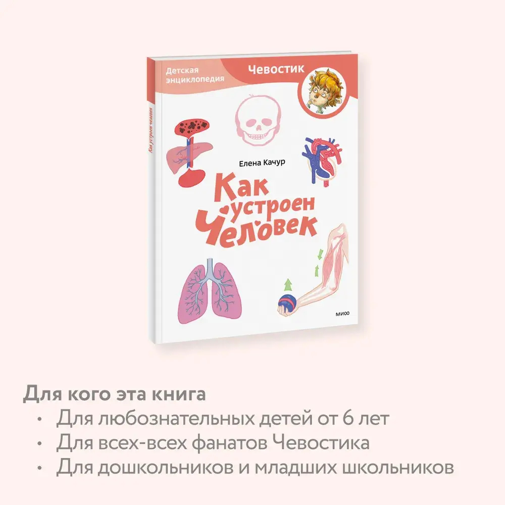 Как устроен человек. Детская энциклопедия (Чевостик)