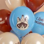 Шар 12" Ассорти С Днем Рождения, сердитая кошка ДБ 10 шт