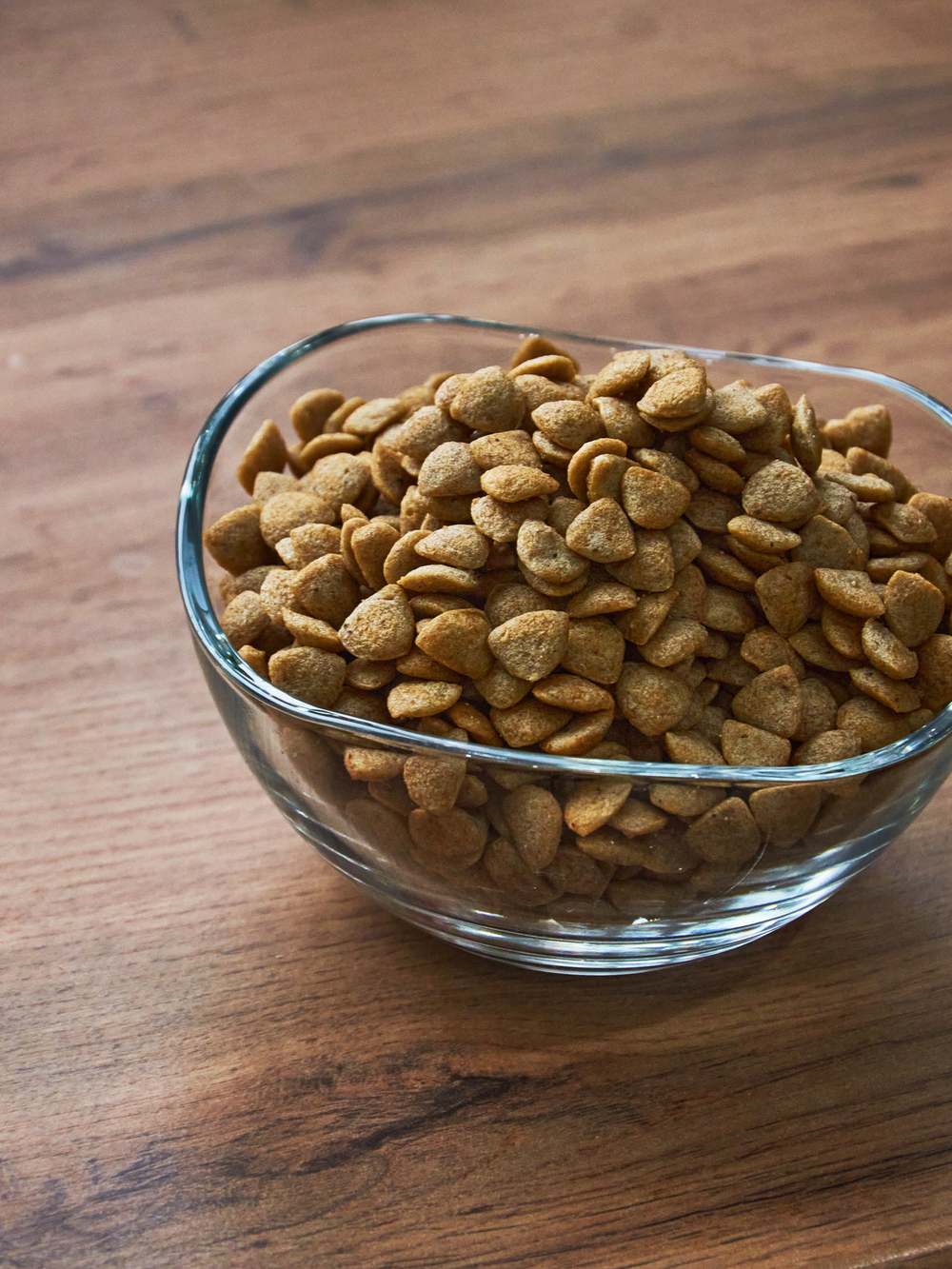 Кошки индейка 10 кг