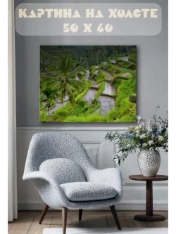 Картина на стену 40 X 50 Рисовые поля