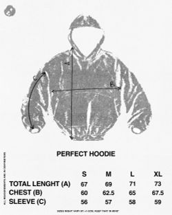 PERFECT hoodie
