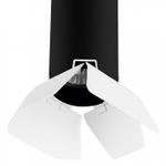 Накладной светильник Lightstar Rullo R437436