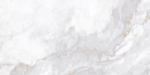 Neodom Marble Ornato Wave Carving 60x120