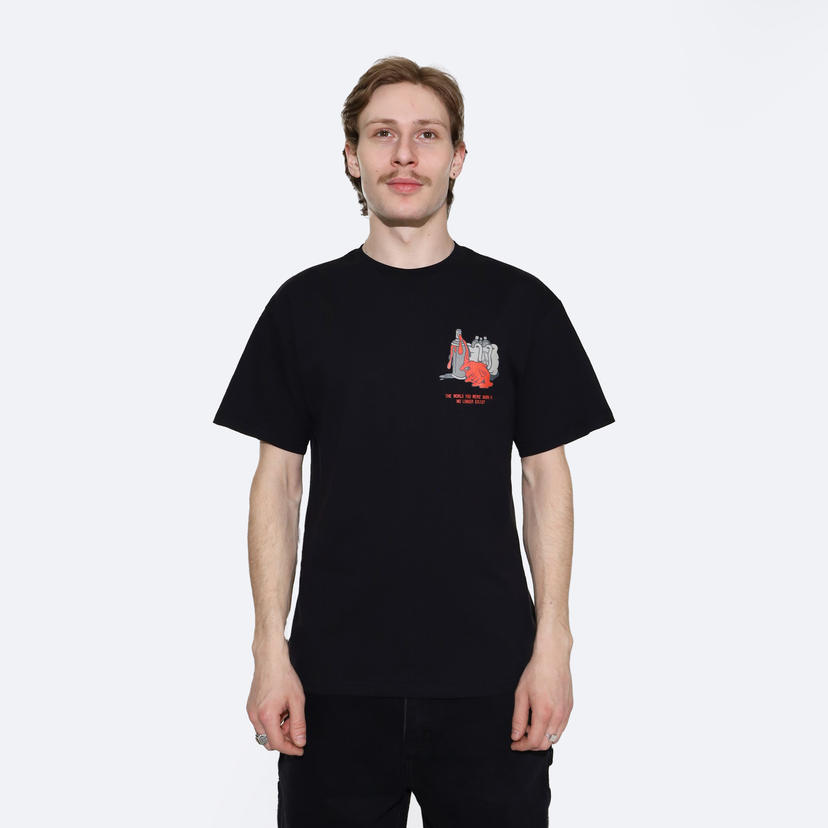 Футболка Anteater Tee 388 the world (black) артикул: - купить в магазине Дайс