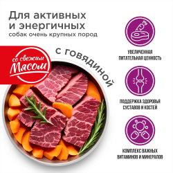 Корм сухой для взрослых собак очень крупных пород, премиум полнорационный комплекс, для активных и энергичных собак, с говядиной, 2,5 кг, QUATTRO