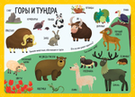 Большая книга малыша. Книжки-картонки. Животные со всего света