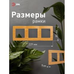 12-5003-07 ЭРА Рамка на 3 поста, Эра12, ольха | Эра 12