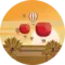 Aircraft MEDIUM - Turkish Juice (200г)