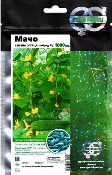 Мачо F1 — урожай огурца, фото 2