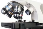 Микроскоп Levenhuk Discovery Atto Polar с книгой