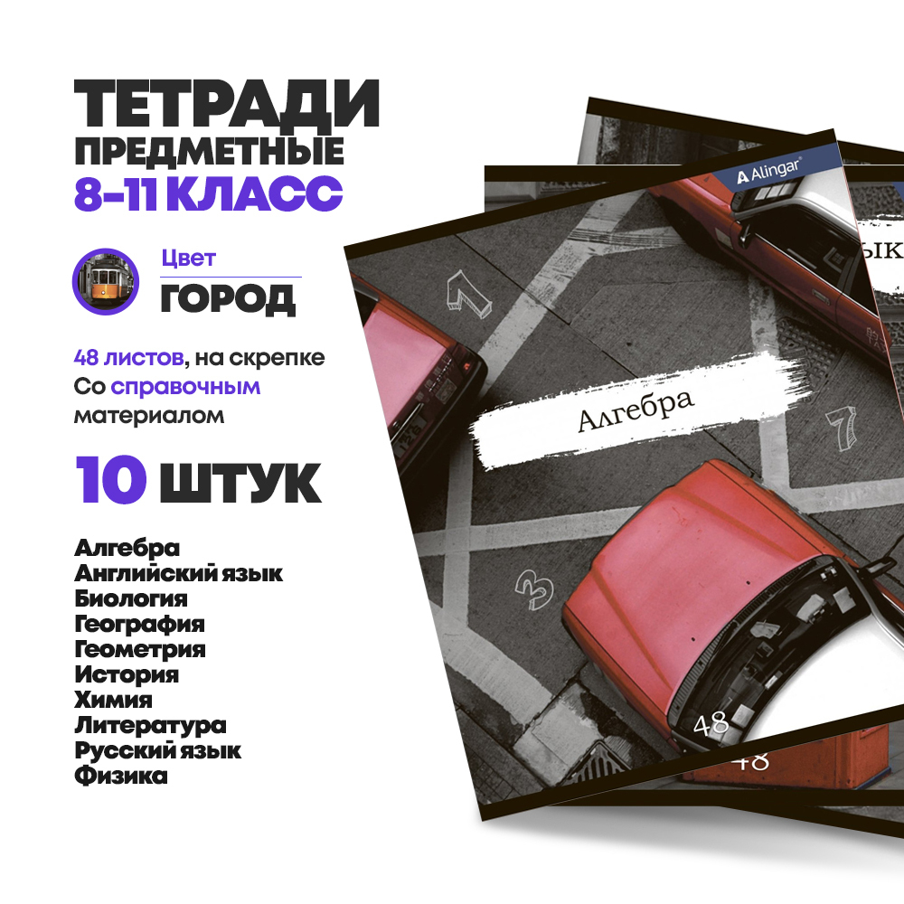 Набор предметных тетрадей 48 листов, 10 штук, Alingar, со справочным материалом, скрепка, мелованный картон, серия "Город"