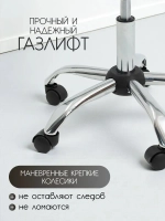Стул мастера и клиента Masscomplekt Ракушка Люкс, хром, экокожа, светло-серый от производителя с доставкой по России курьером до адреса