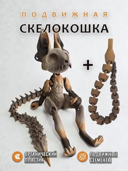 Скелет Кошки