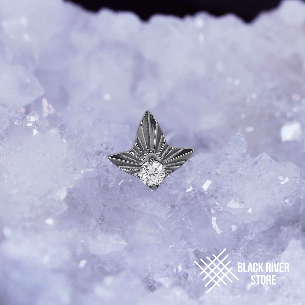 Leaf Geometry &amp; Crystal-