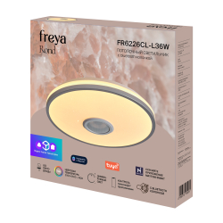 Потолочный светильник Freya FR6226CL-L36W