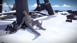 The Witness PS4 | PS5