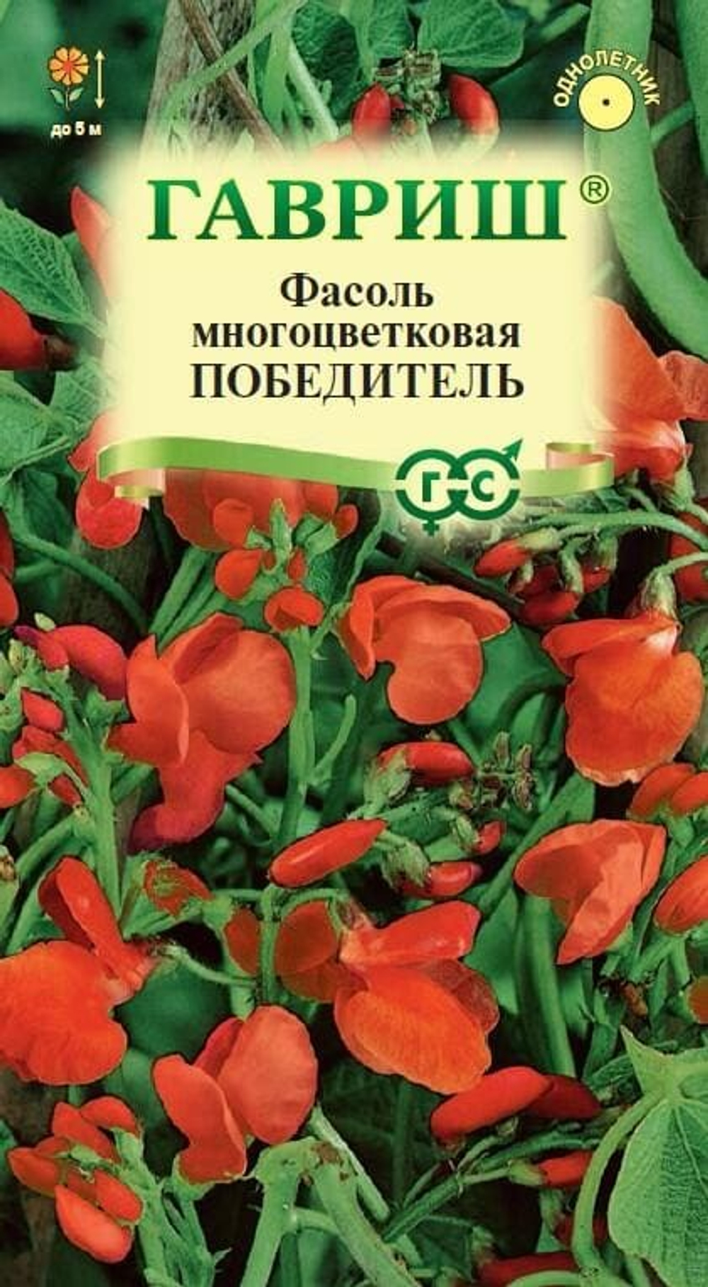 Фасоль Победитель декоративная 5шт Гавриш
