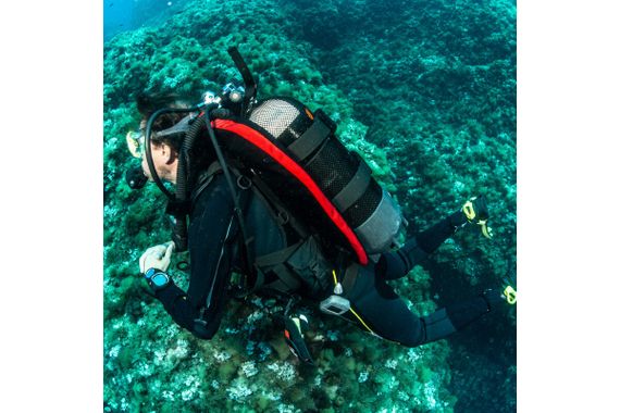Жилет компенсатор BCD Seac Sub Modular Оne size Тип-крыло черный