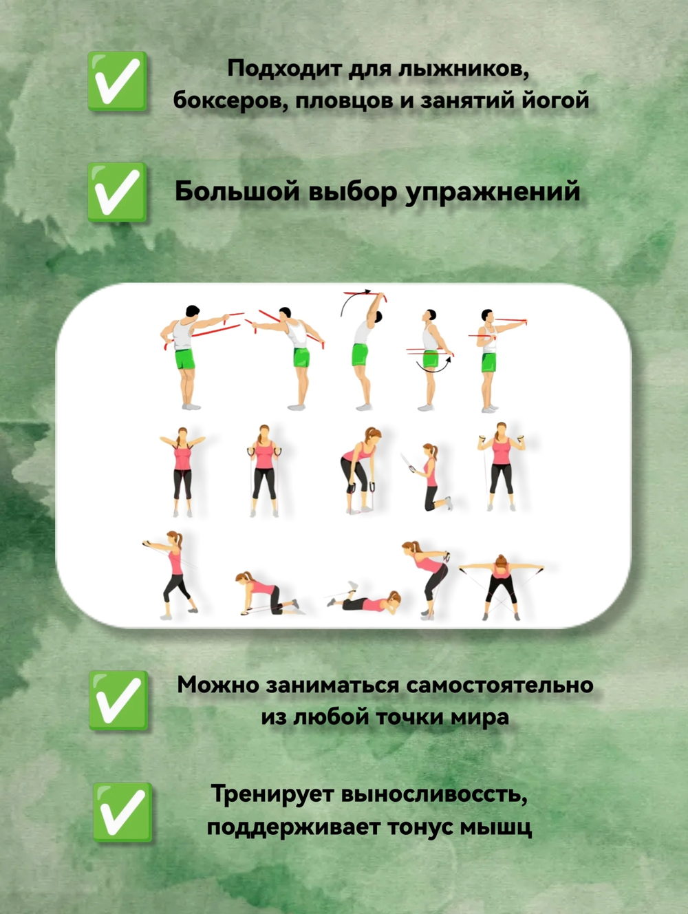 Эспандер лыжный Inmotion профи 00004-01