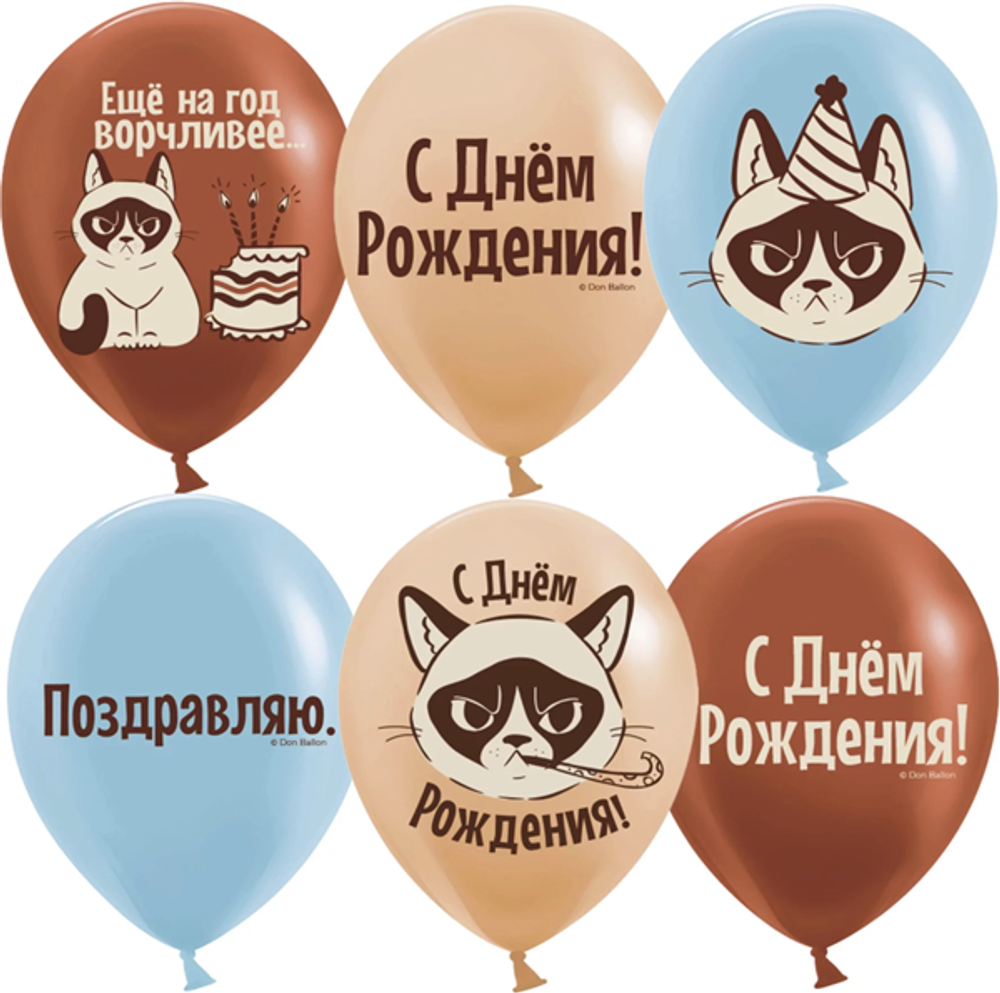 Воздушные шары Днем Рождения! (сердитая кошка), Ассорти, пастель 30см уже с гелием