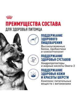 MAXI Adult Корм для собак 3кг