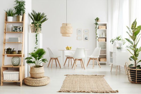 Декор IKEA в Калининграде: растения и постеры для уюта Декор IKEA в Калининграде: растения и постеры для уюта