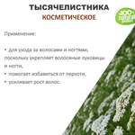 Тысячелистника масло, косметическое, 100 мл