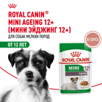 Royal Canin Mini Ageing 12+ Мини Эйджинг Корм влажный для стареющих собак мелких пород соус 85г