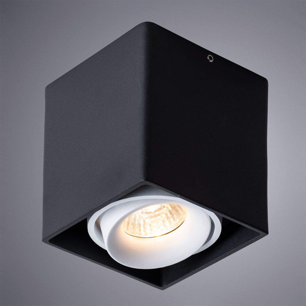 Светильник потолочный Arte Lamp Pictor A5654PL-1BK